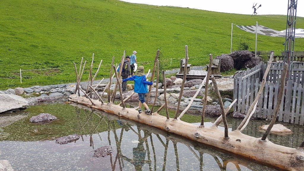 20170727_110100-edited